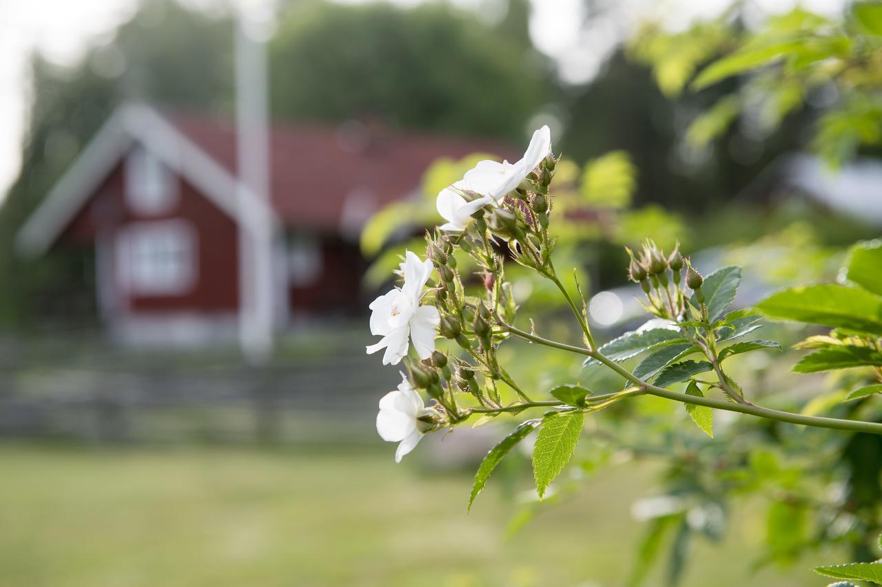 Borggarden Stugor Hultsfred Zewnętrze zdjęcie
